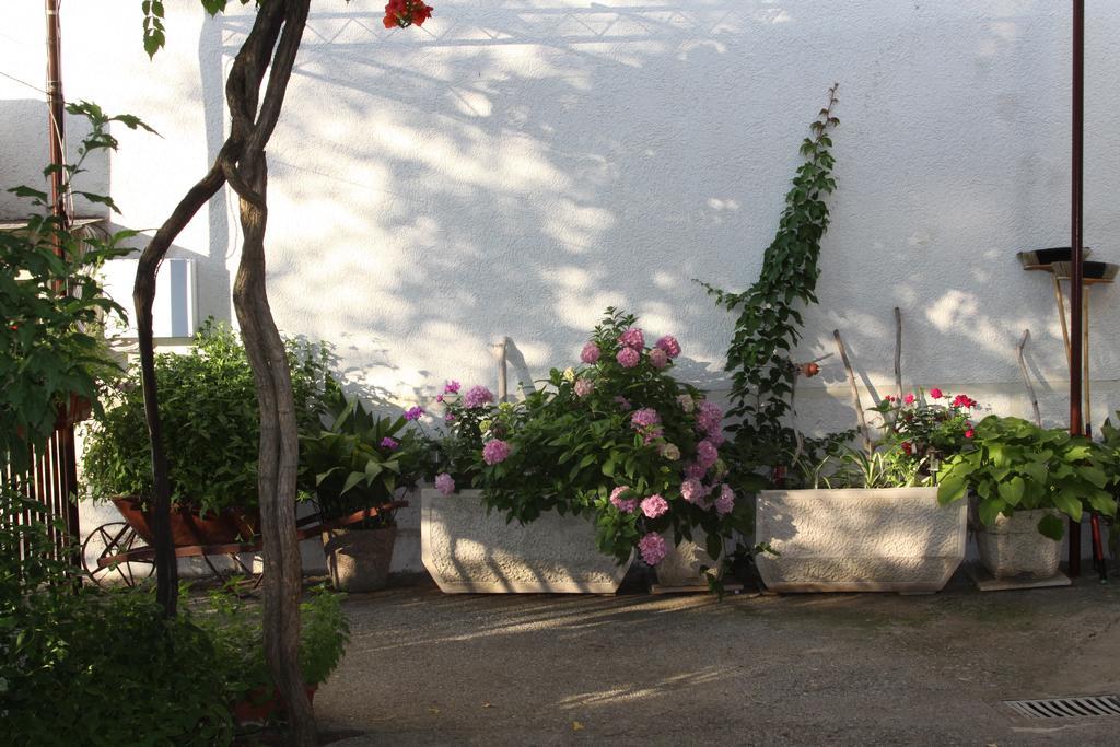 Apartments Becic Budva Bagian luar foto